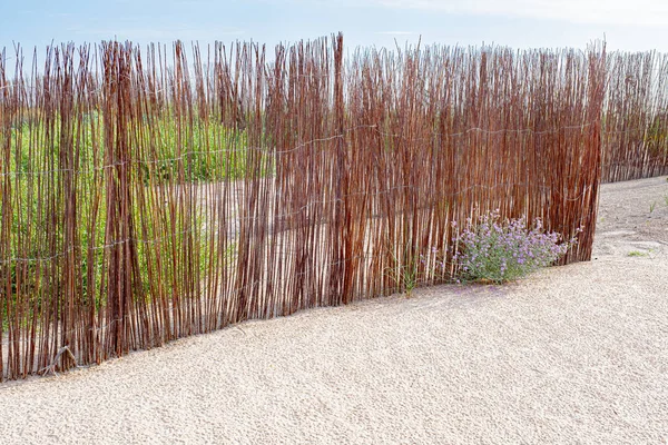 Weidenzaun Umgibt Einheimische Pflanzen Den Dünen Des Strandes — Stockfoto