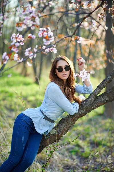 Meisje met bril in de bomen — Stockfoto