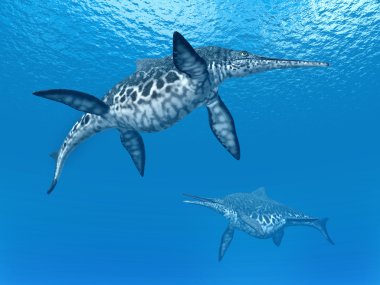 İchthyosaur Shonisaurus