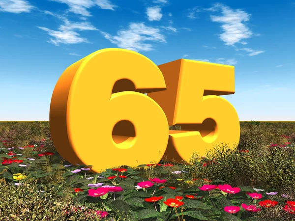 Il numero 65 — Foto Stock