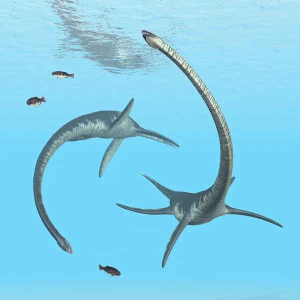 Plesiosaur Elasmosaurus — Stok fotoğraf