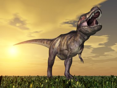 Tyrannosaurus rex