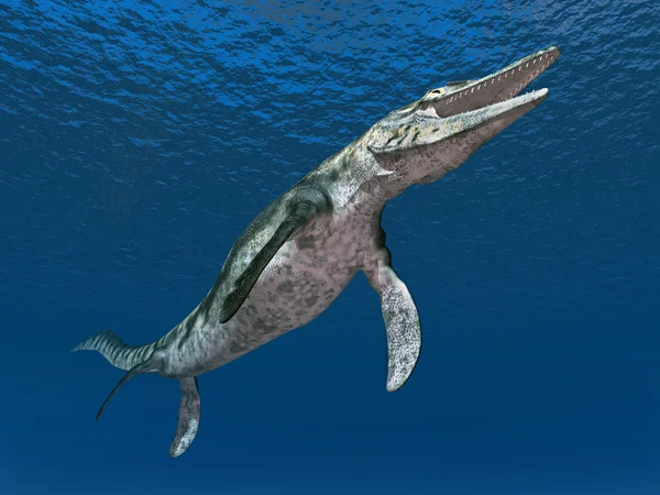 Mosasaur Tylosaurus — Stock fotografie