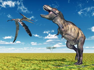 Pteranodon ve Tyrannosaurus Rex