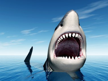 Büyük beyaz köpekbalığı