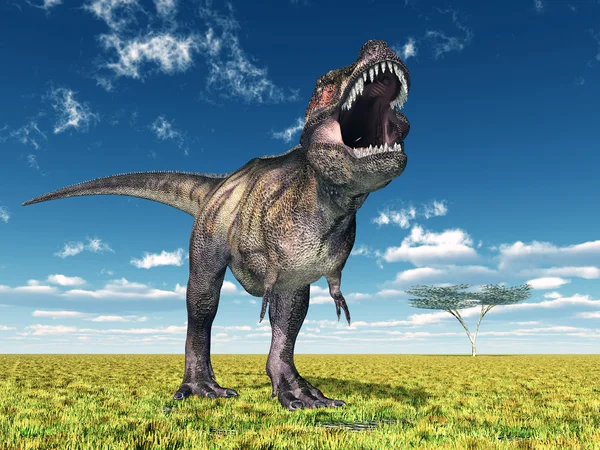 Tyrannosaurus rex — Stockfoto