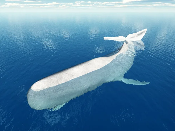 İspermeçet balinası — Stok fotoğraf