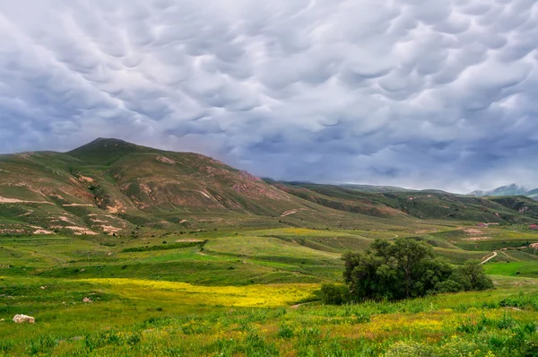 summer storm landscape