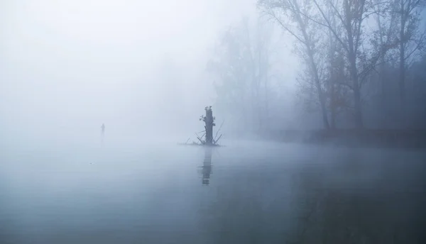 Kütük çıkıntısı nehrin ortasında kalın sisin içinde kalır.