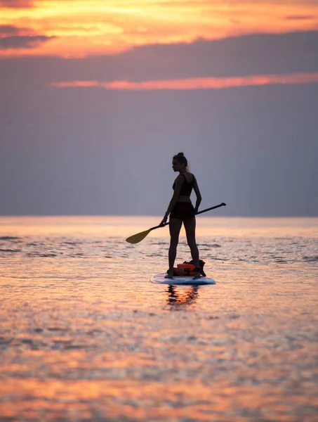 Une Femme Pagaie Sur Planche Sup Mer Dans Lumière Orange Images De Stock Libres De Droits