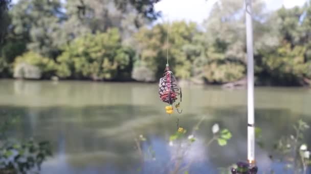 Equipamento Vazio Com Milho Sobre Ganchos Vara Pesca — Vídeo de Stock