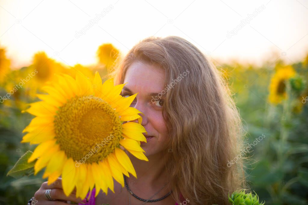 thin girl in magenta dress is in the sunflowers in soft sunlight