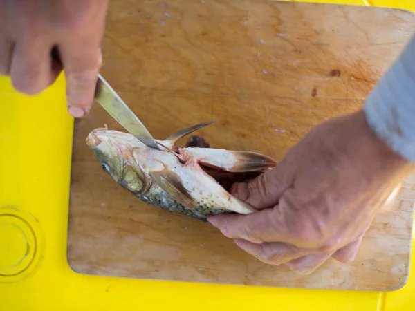 男の手はうろこから掃除してテーブルの上に新鮮な魚をナイフで切る — ストック写真