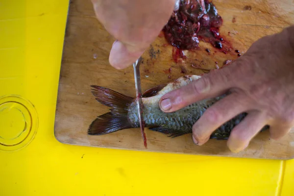 Adamın Elleri Teraziyi Temizliyor Bıçakla Taze Bir Balığı Kesiyor — Stok fotoğraf