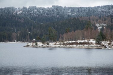 Sakin kış gölündeki Karlı Orman Adası
