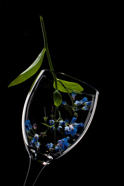 Ág virág egy pohár — Stock Fotó
