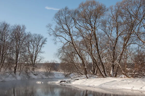 有河流的冬季景观 免版税图库照片