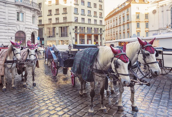 Vinter häst vagnar i centrum av Wien — Stockfoto