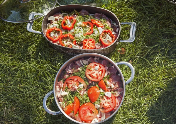 Meat for BBQ in pans on grass — Stock Photo, Image