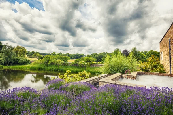 Bloementuin in park, Engeland — Stockfoto