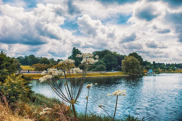 켄트, 영국에 있는 공원 — 스톡 사진