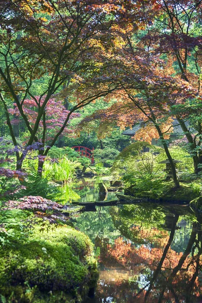 Japanischer Garten — Stockfoto