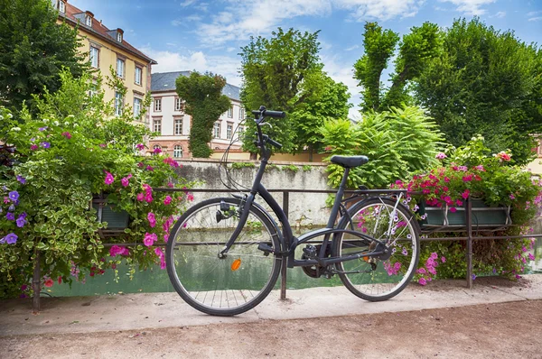 Bicicleta en Francia Comar — Foto de Stock