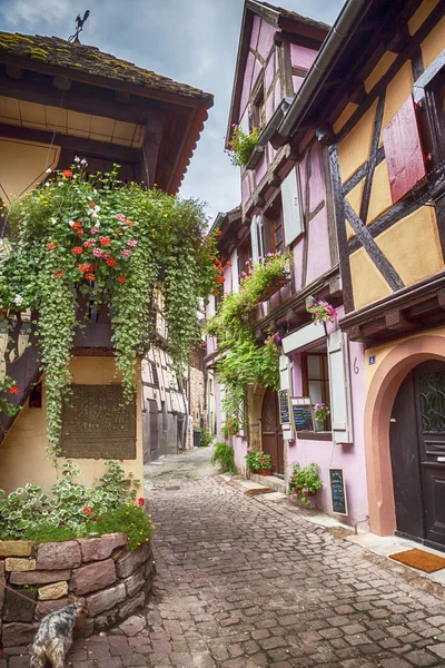 Alsácia aldeia Eguisheim — Fotografia de Stock