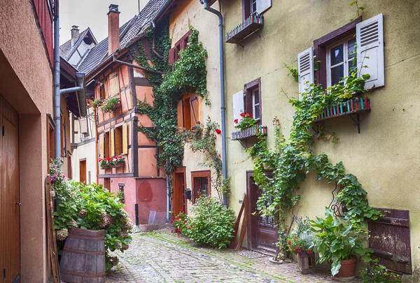 Alsace Köyü eguisheim — Stok fotoğraf