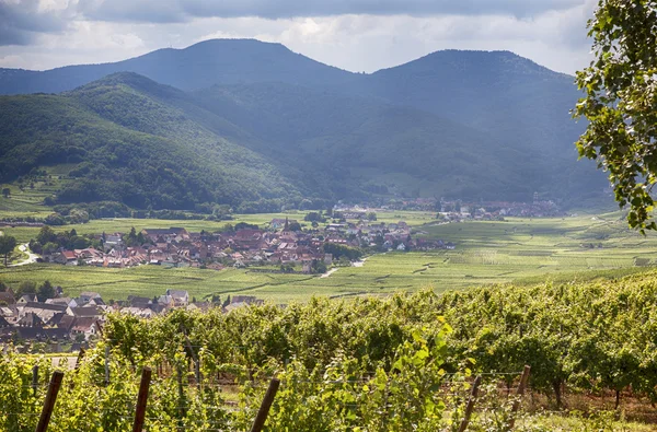Country side of Alsace region — Stock Photo, Image