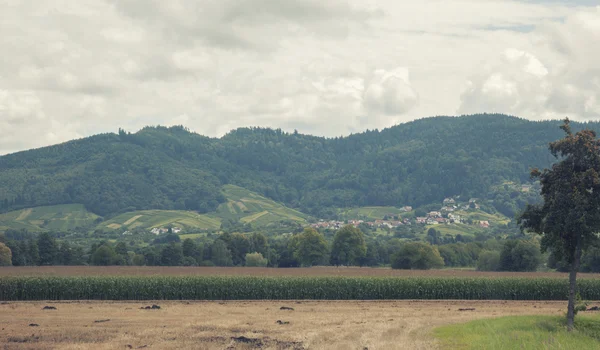 Стороні країни регіону Баден-Баден — стокове фото