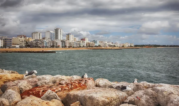Вид на океанское побережье Вилльфеуры (Алгарве, Португалия) ) — стоковое фото