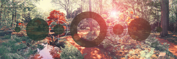 концептуальный фон природы
