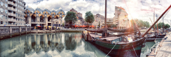 Rotterdam landscape