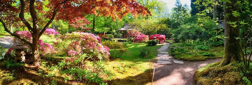 Nature background panorama in Japanese park