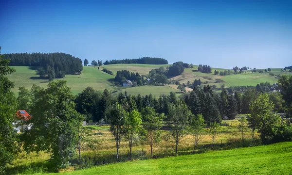 Landscape of Black Forest region of Germany — Stock Photo, Image