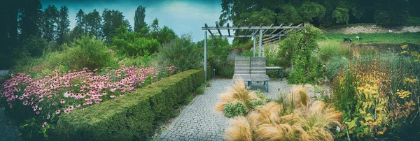 Zomer in de tuin — Stockfoto