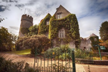 Dublin yakınındaki kale sonbahar tarafından 
