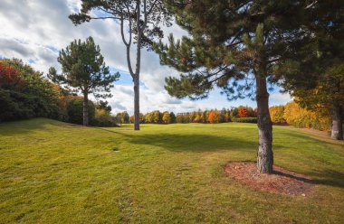 İrlanda sonbahar golf alanı