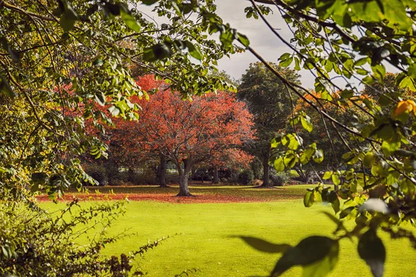 Herfst in platteland — Stockfoto