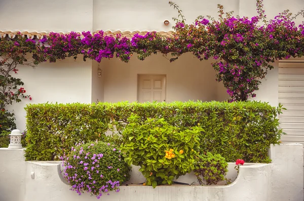 Herfst balkon in Portugal — Stockfoto