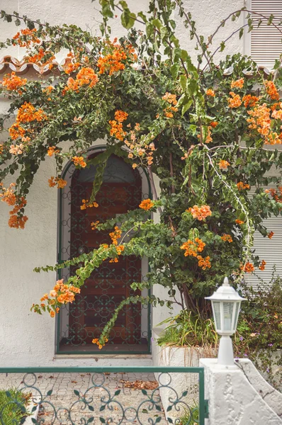 Puerta de otoño en Portugal — Foto de Stock