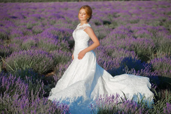 Gyönyörű menyasszony az esküvő napján a levendula mező — Stock Fotó