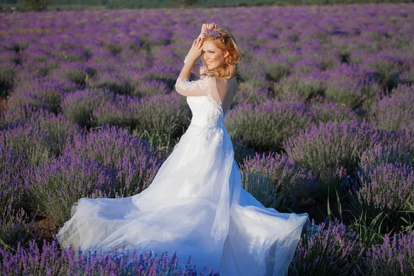Krásná nevěsta ve svatební den v poli levandule — Stock fotografie