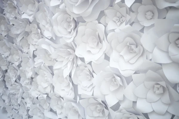 Dekorativa bakgrund från vitboken blommor — Stockfoto