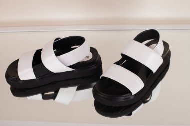 Beyaz arka planda izole edilmiş modern moda kadın ayakkabıları.