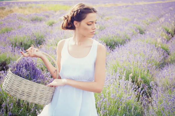 Retrato romântico de mulher bonita no campo de lavanda — Fotografia de Stock