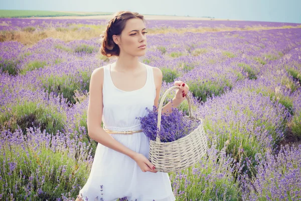 Retrato romântico de mulher bonita no campo de lavanda — Fotografia de Stock