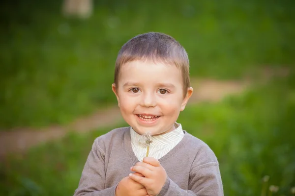 Schöne glückliche Baby-Junge mit Pusteblume, im Freien schießen — Stockfoto