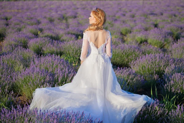 Hermosa novia en el día de la boda en el campo de lavanda —  Fotos de Stock